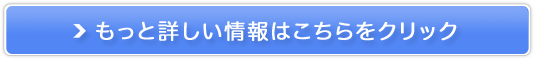i[uX\[vyi`I[uz̔TCg